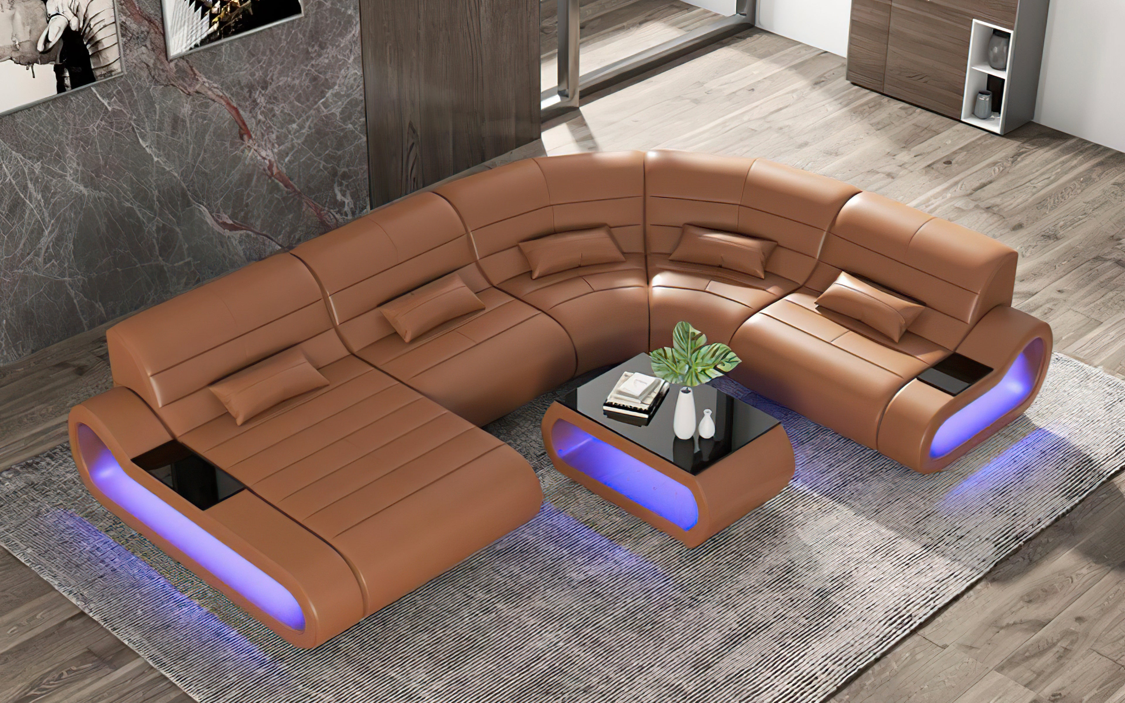 Catina Leather Curve Shape Sectional